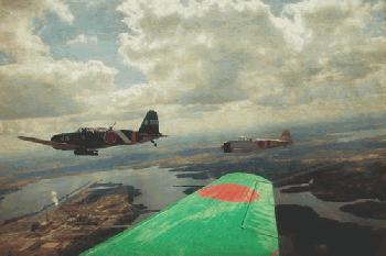 Japanese Aichi-99 Dive Bomber Information | WW2 Japanese Aircraft