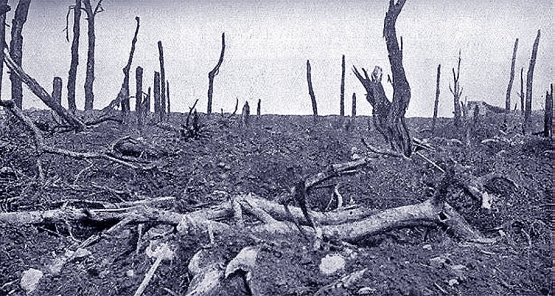 'The Battle of the Somme'' by Philip Gibbs (Literary Digest, 1917)